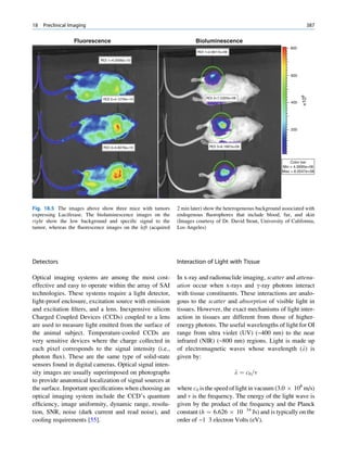CIENCIAS BÁSICAS MN