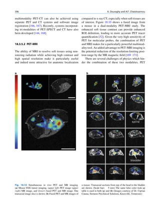 CIENCIAS BÁSICAS MN
