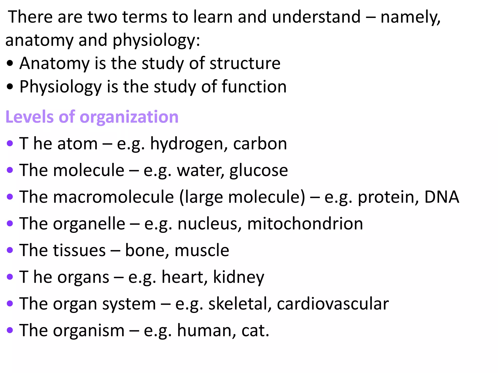 PRINCIPLES OF PHYSIOLOGY visual data 6