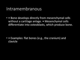 Intramembranous
• • Bone develops directly from mesenchymal cells
without a cartilage anlage. • Mesenchymal cells
differentiate into osteoblasts, which produce bone.
• • Examples: flat bones (e.g., the cranium) and
clavicle
 