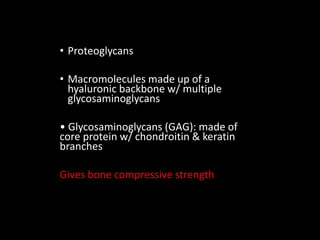 • Proteoglycans
• Macromolecules made up of a
hyaluronic backbone w/ multiple
glycosaminoglycans
• Glycosaminoglycans (GAG): made of
core protein w/ chondroitin & keratin
branches
Gives bone compressive strength
 