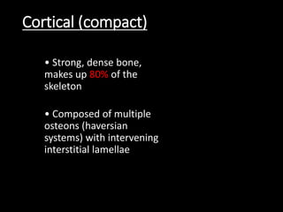 Cortical (compact)
• Strong, dense bone,
makes up 80% of the
skeleton
• Composed of multiple
osteons (haversian
systems) with intervening
interstitial lamellae
 