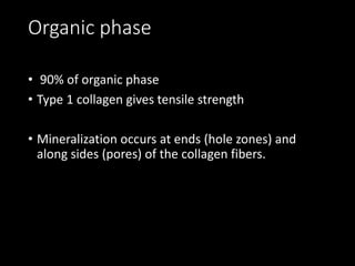 Organic phase
• 90% of organic phase
• Type 1 collagen gives tensile strength
• Mineralization occurs at ends (hole zones) and
along sides (pores) of the collagen fibers.
 
