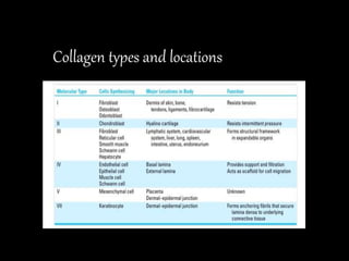 Collagen types and locations
 