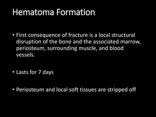 Hematoma Formation
• First consequence of fracture is a local structural
disruption of the bone and the associated marrow,
periosteum, surrounding muscle, and blood
vessels.
• Lasts for 7 days
• Periosteum and local soft tissues are stripped off
 