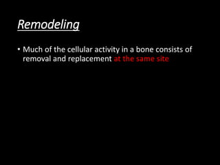 Remodeling
• Much of the cellular activity in a bone consists of
removal and replacement at the same site
 