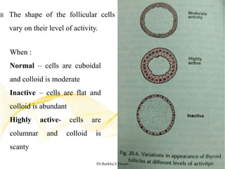 Thyroid and parathyroid glands | PPTX