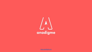 www.anadigme.no
 