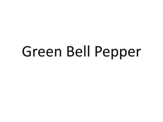Green Bell Pepper
 