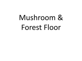 Mushroom &
Forest Floor
 