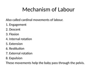 Comprehensive Basic Sex Education: Anatomy, Puberty, Pregnancy, and ...