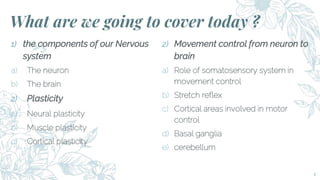 From Neuron To Brain, basics of neuroscience.pptx