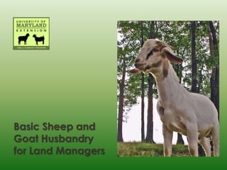 Basic Sheep and
Goat Husbandry
for Land Managers
 
