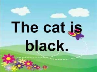 The cat is
black.
 