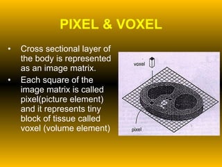 PIXEL & VOXEL Cross sectional layer of the body is represented as an image matrix. Each square of the image matrix is called pixel(picture element) and it represents tiny block of tissue called voxel (volume element) 