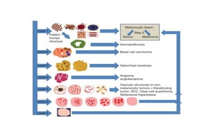 BASICS IN DERMOSCOPY for clinical diagnosis | PPTX