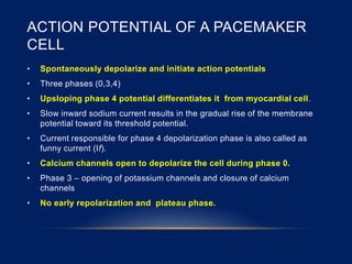 ACTION POTENTIAL OF A PACEMAKER
CELL
• Spontaneously depolarize and initiate action potentials
• Three phases (0,3,4)
• Upsloping phase 4 potential differentiates it from myocardial cell.
• Slow inward sodium current results in the gradual rise of the membrane
potential toward its threshold potential.
• Current responsible for phase 4 depolarization phase is also called as
funny current (If).
• Calcium channels open to depolarize the cell during phase 0.
• Phase 3 – opening of potassium channels and closure of calcium
channels
• No early repolarization and plateau phase.
 