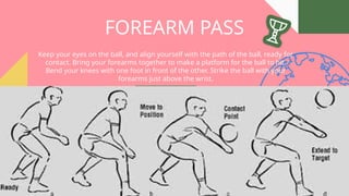 FOREARM PASS
Keep your eyes on the ball, and align yourself with the path of the ball, ready for
contact. Bring your forearms together to make a platform for the ball to hit.
Bend your knees with one foot in front of the other. Strike the ball with your
forearms just above the wrist.
 