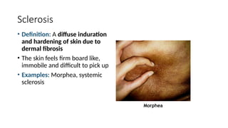 Comprehensive Overview of Basic Skin Lesions: Classification and ...