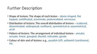Grouped Lesion Pattern Comprehensive Overview of Basic Skin Lesions: Classification and ...