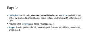 Comprehensive Overview of Basic Skin Lesions: Classification and ...