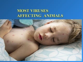MOST VIRUSESMOST VIRUSES
AFFECTING ANIMALSAFFECTING ANIMALS
INTRODUCTIONS
 