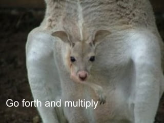 Go forth and multiply 
