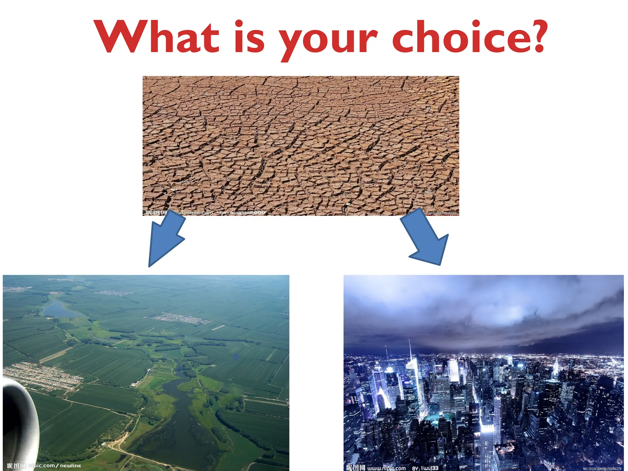 What is your choice?
 