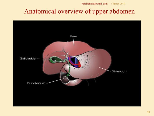 Basics of abdominal ultrasonography | PPTX