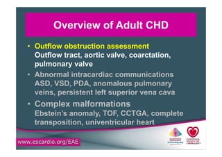 Basics of adult congenital heart disease assessment | PDF