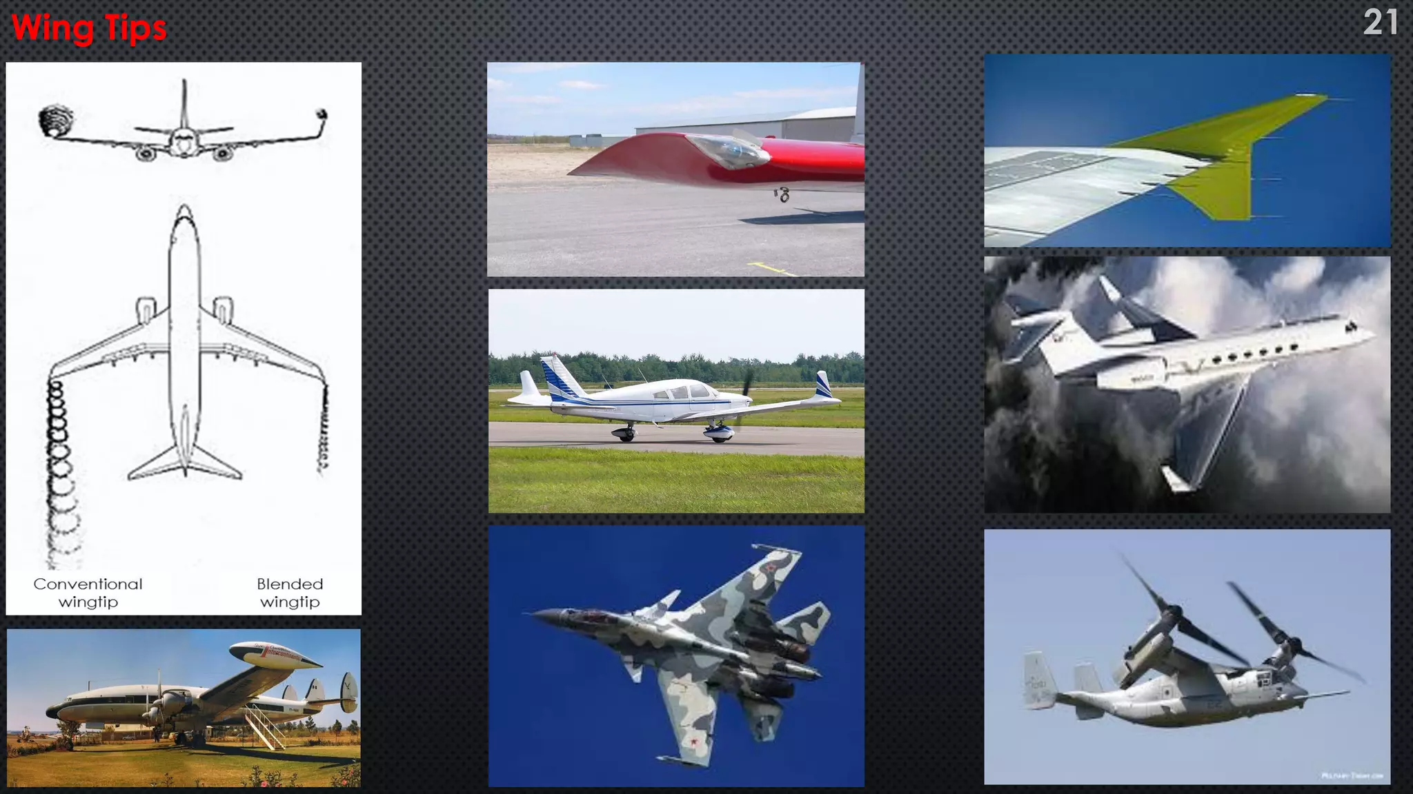 Wing Tips 21
 