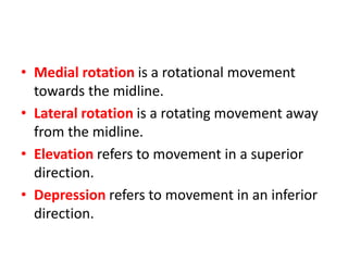 Medial Rotation Lateral Rotation basics of anatomy and physiology-1.pptx