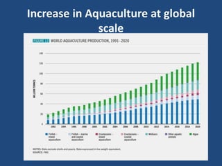 Increase in Aquaculture at global
scale
 