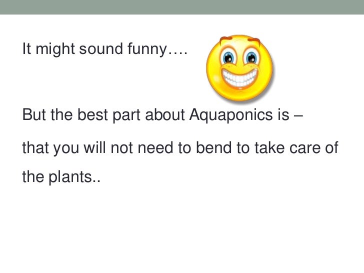 basics of aquaponics - aquaponics4you review