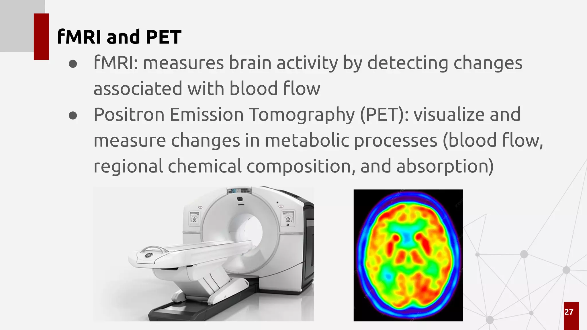 fMRI and PET
● fMRI: measures brain activity by detecting changes
associated with blood ﬂow
● Positron Emission Tomography (PET): visualize and
measure changes in metabolic processes (blood ﬂow,
regional chemical composition, and absorption)
27
 