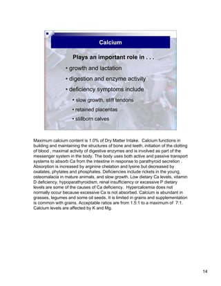 Basics of Beef Cattle Nutrition Notes | PDF