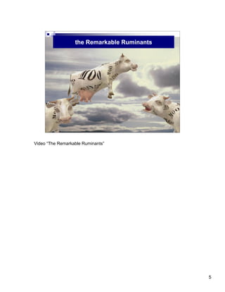 Basics of Beef Cattle Nutrition Notes | PDF