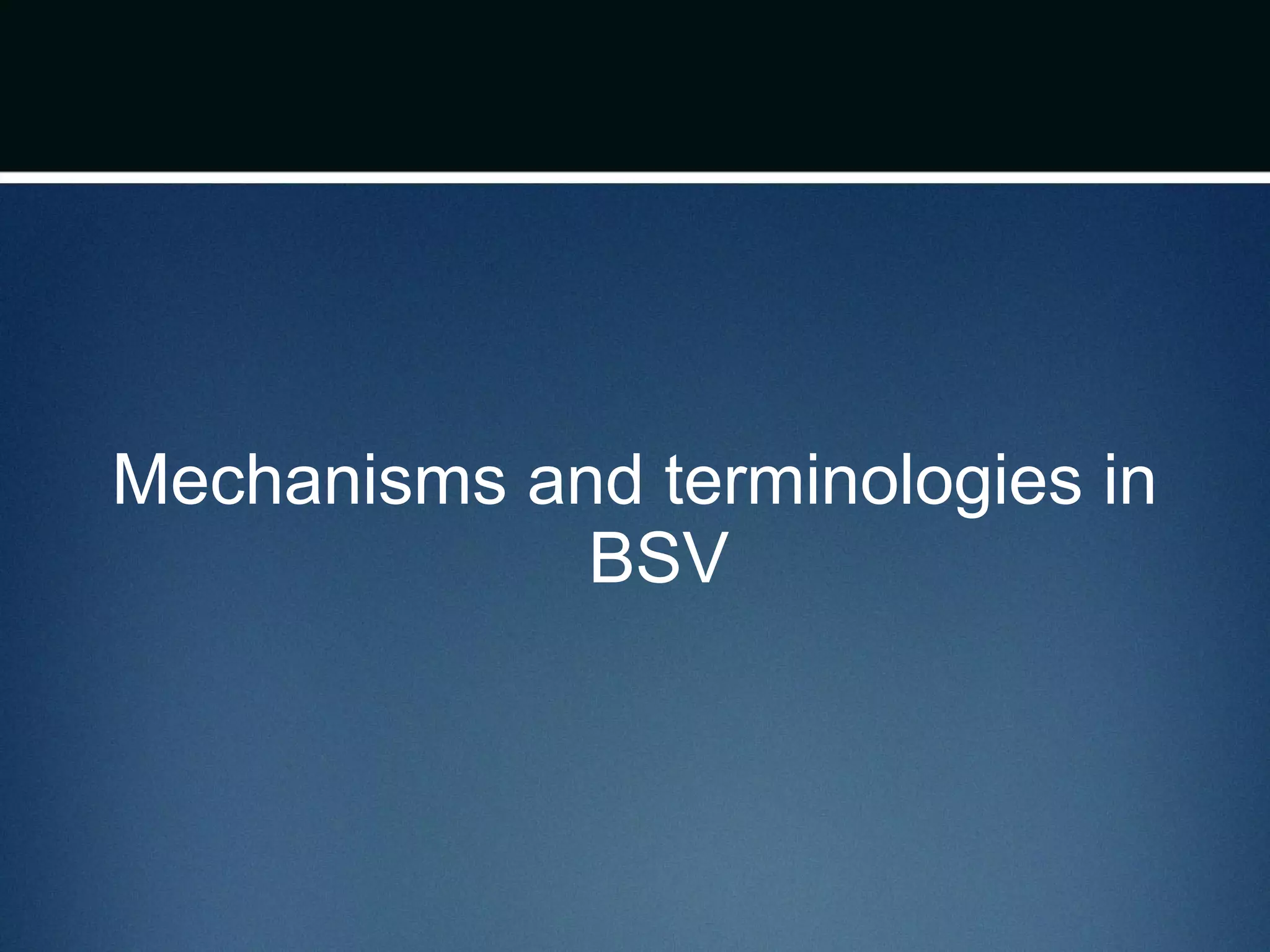 Mechanisms and terminologies in
BSV
 