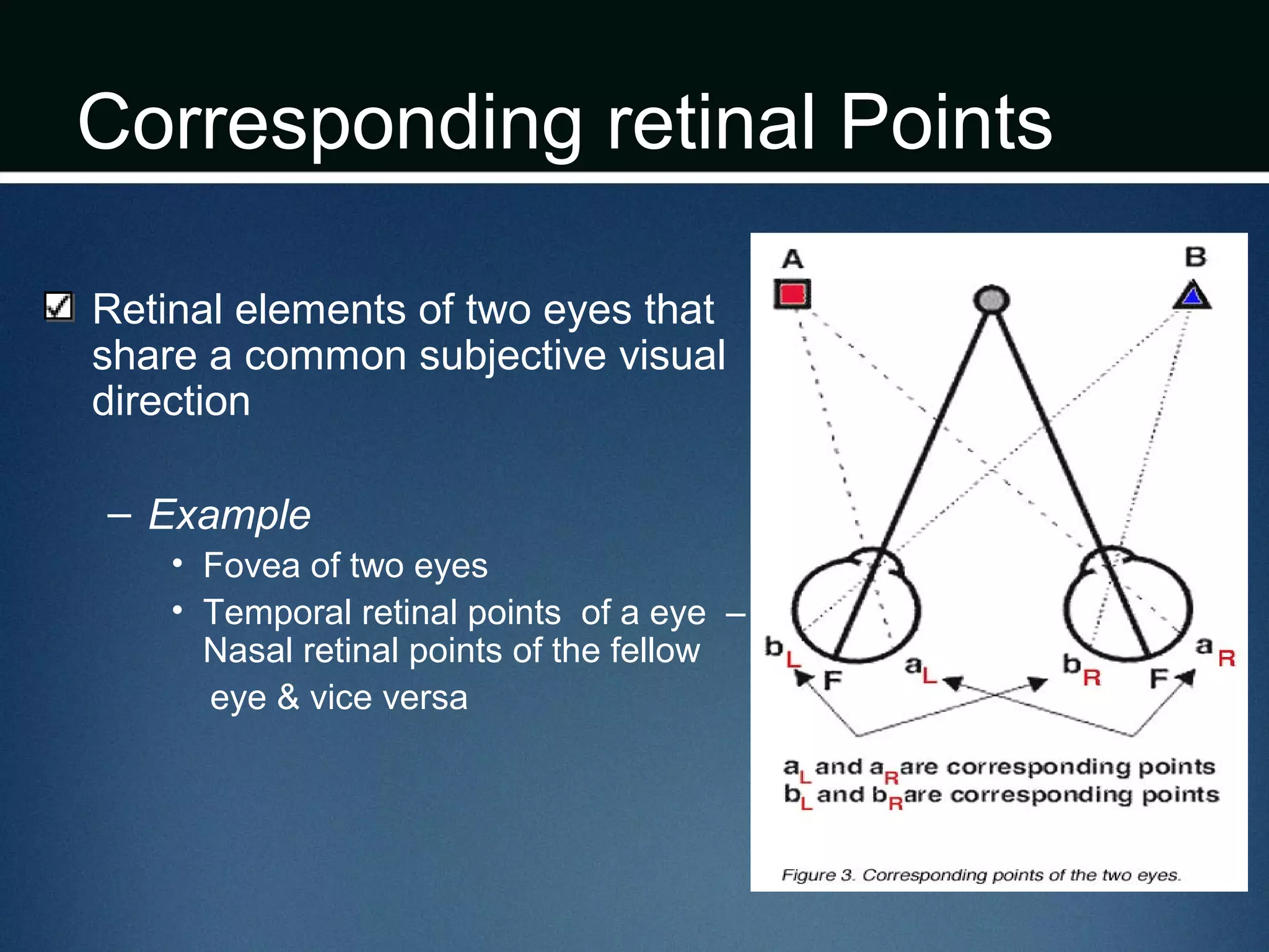 Corresponding retinal Points
Retinal elements of two eyes that
share a common subjective visual
direction
– Example
• Fovea of two eyes
• Temporal retinal points of a eye –
Nasal retinal points of the fellow
eye & vice versa
 