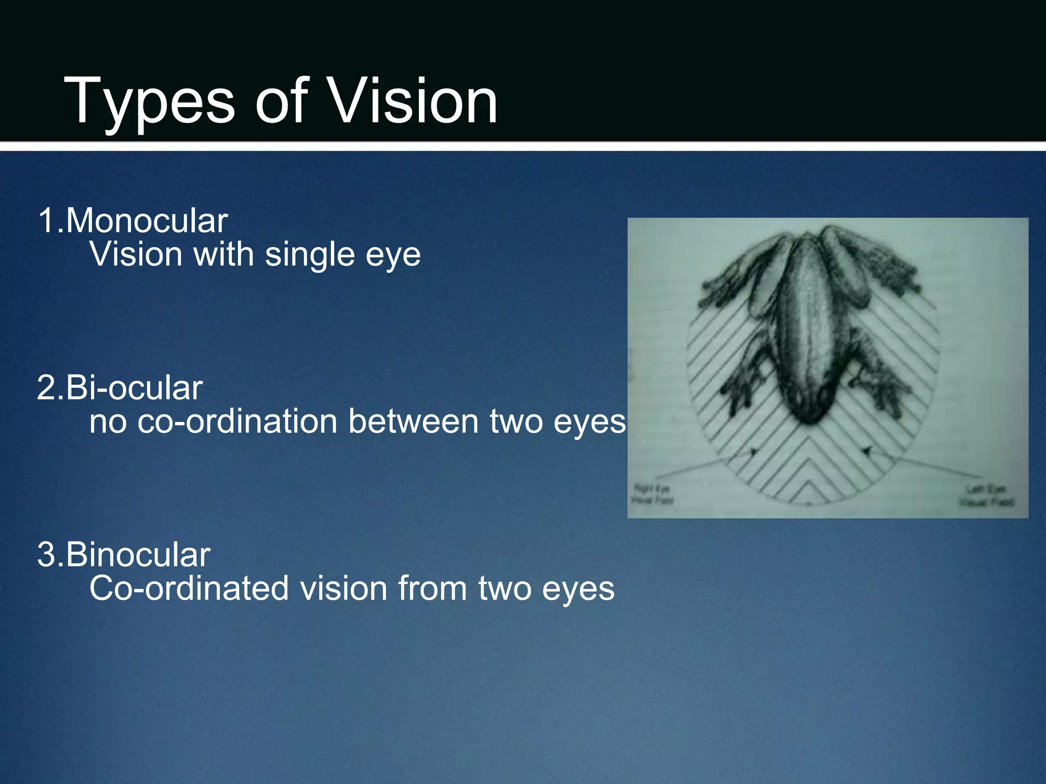 Types of Vision
1.Monocular
Vision with single eye
2.Bi-ocular
no co-ordination between two eyes
3.Binocular
Co-ordinated vision from two eyes
 