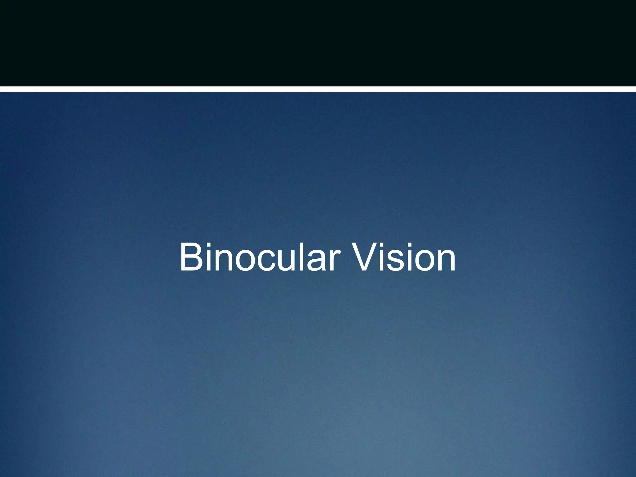 Binocular Vision
 