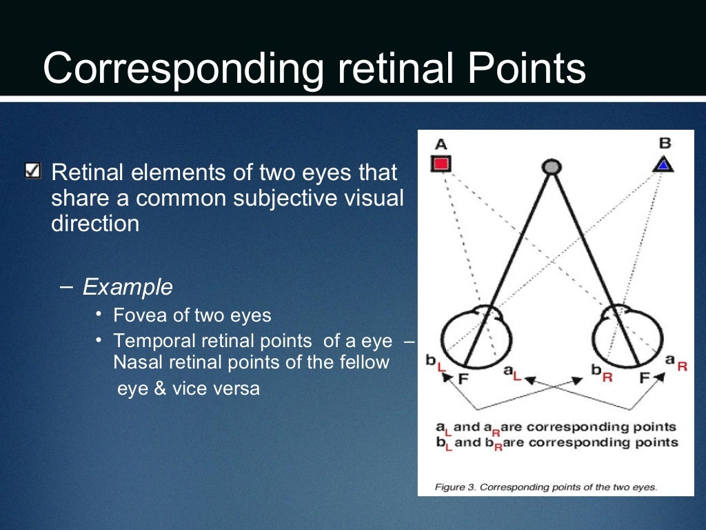 Basics of binocular vision
