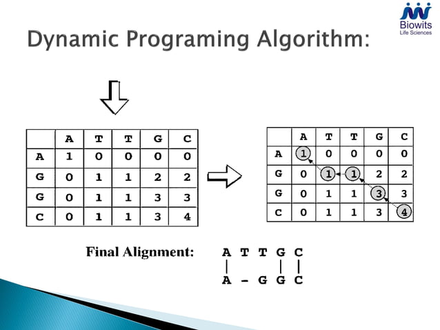 Basics of bioinformatics | PDF | Genetics | Science