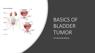 BASICS OF
BLADDER
TUMOR
-Dr. Bhumika Gharia
 