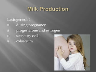 Milk ProductionLactogenesis I     during pregnancy     progesterone and estrogen     secretory cells     colostrum