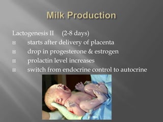 Milk ProductionLactogenesis II     (2-8 days)     starts after delivery of placenta     drop in progesterone & estrogen     prolactin level increases     switch from endocrine control to autocrine