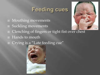 Feeding cuesMouthing movementsSuckling movementsClenching of fingers or tight fist over chestHands to mouthCrying is a “Late feeding cue”