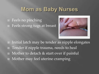 Mom as Baby NursesFeels no pinchingFeels strong tugs at breastInitial latch may be tender as nipple elongatesTender if nipple trauma, needs to healMother to detach & start over if painfulMother may feel uterine cramping