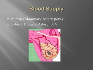 Blood SupplyInternal Mammary Artery (60%)Lateral Thoracic Artery (30%)