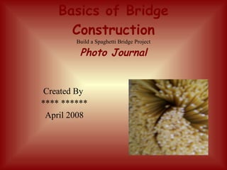 Basics of Bridge Construction Build a Spaghetti Bridge Project Photo Journal ,[object Object],[object Object],[object Object]
